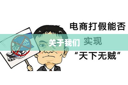 关于我们
